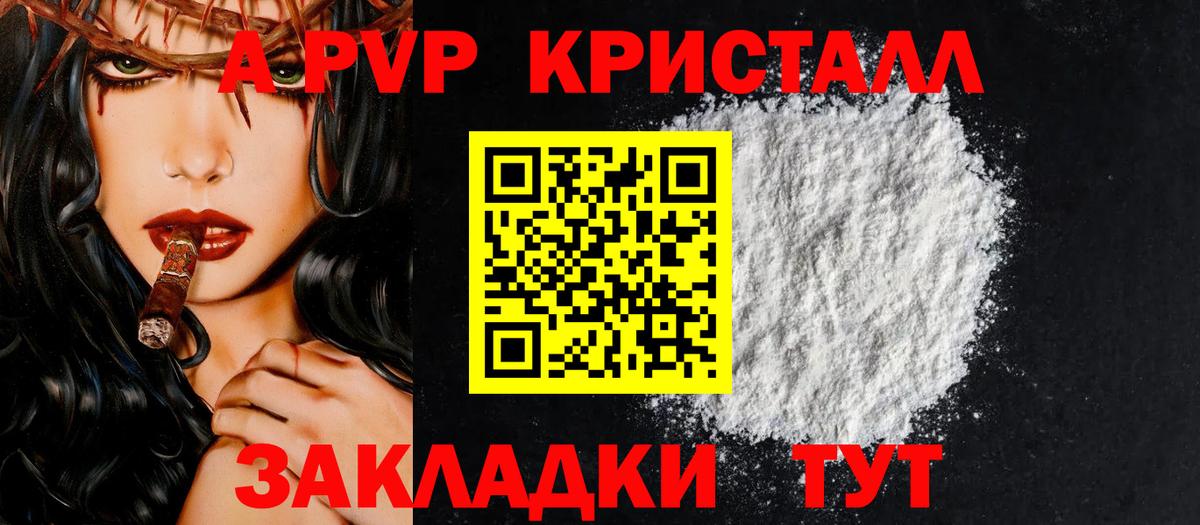 Альфа ПВП СК КРИС Донецк