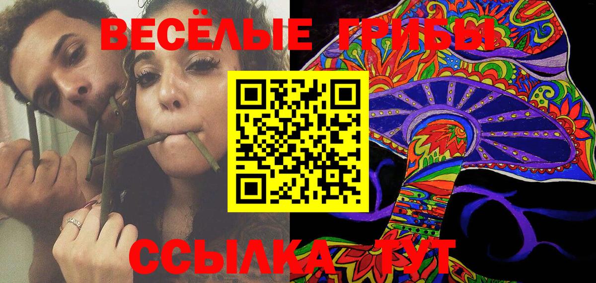 Галлюциногенные грибы Psilocybine cubensis  Вход с VPN  Донецк  Псилоцибиновые грибы Psilocybine cubensis 
