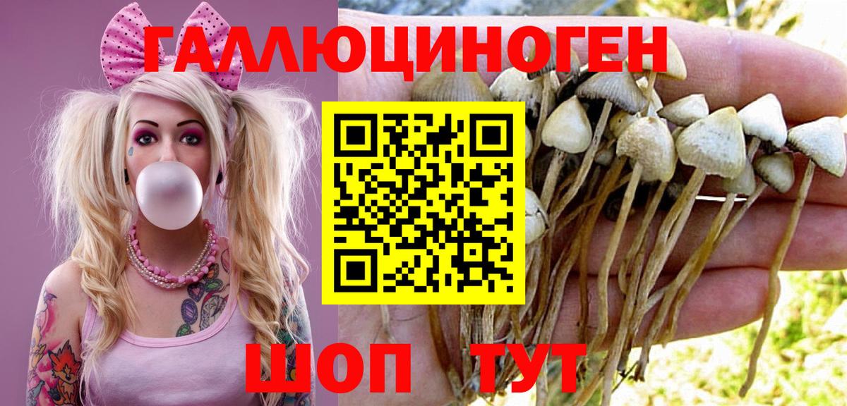 Псилоцибиновые грибы GOLDEN TEACHER Донецк